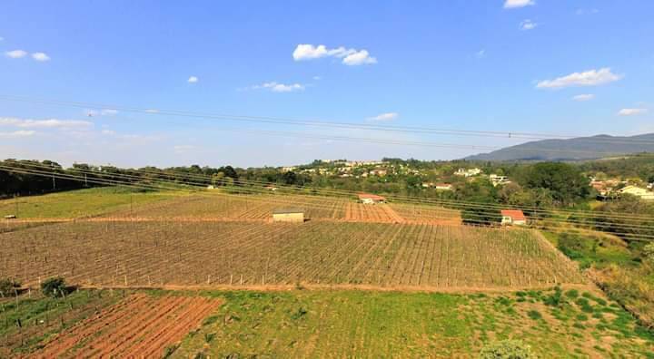 Prédio Inteiro à venda, 36000m² - Foto 2