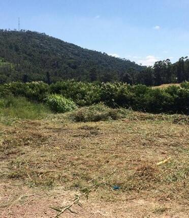 #375 - Terreno para Venda em Itupeva - SP