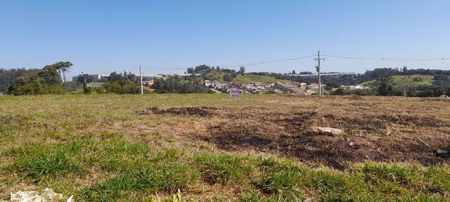 Terreno à venda, 250m² - Foto 2