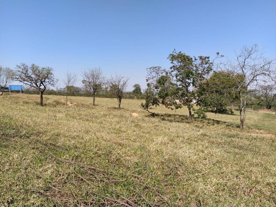 Terreno para alugar, 600m² - Foto 3