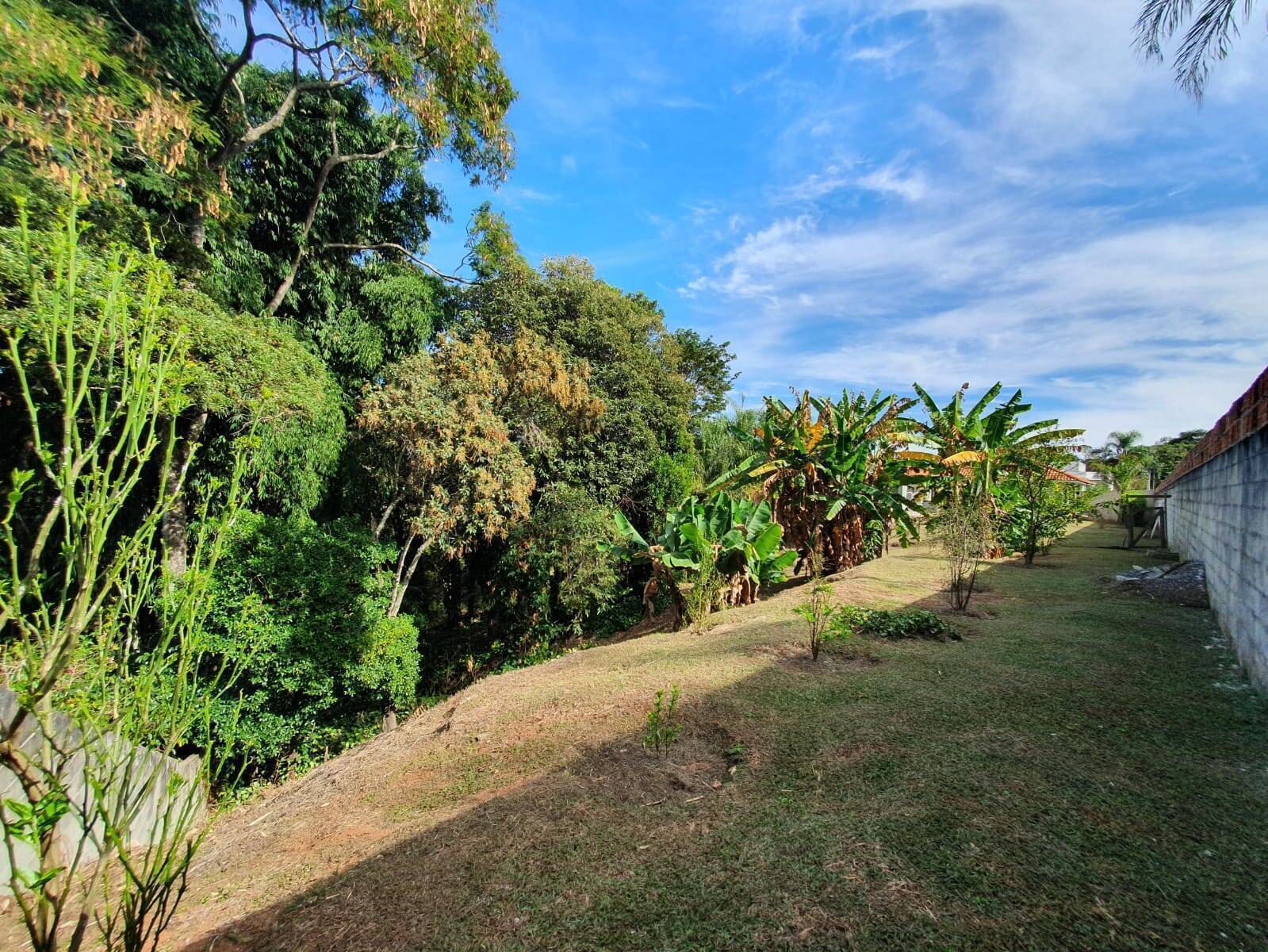 Casa de Condomínio à venda com 4 quartos, 800m² - Foto 49