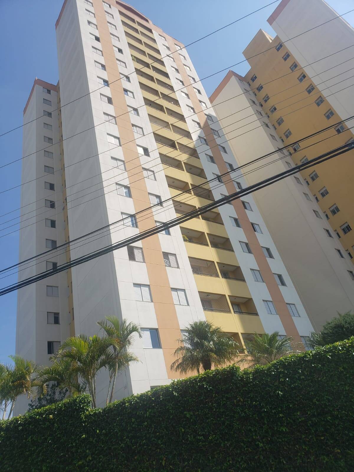 Apartamento à venda e aluguel com 3 quartos, 76m² - Foto 7