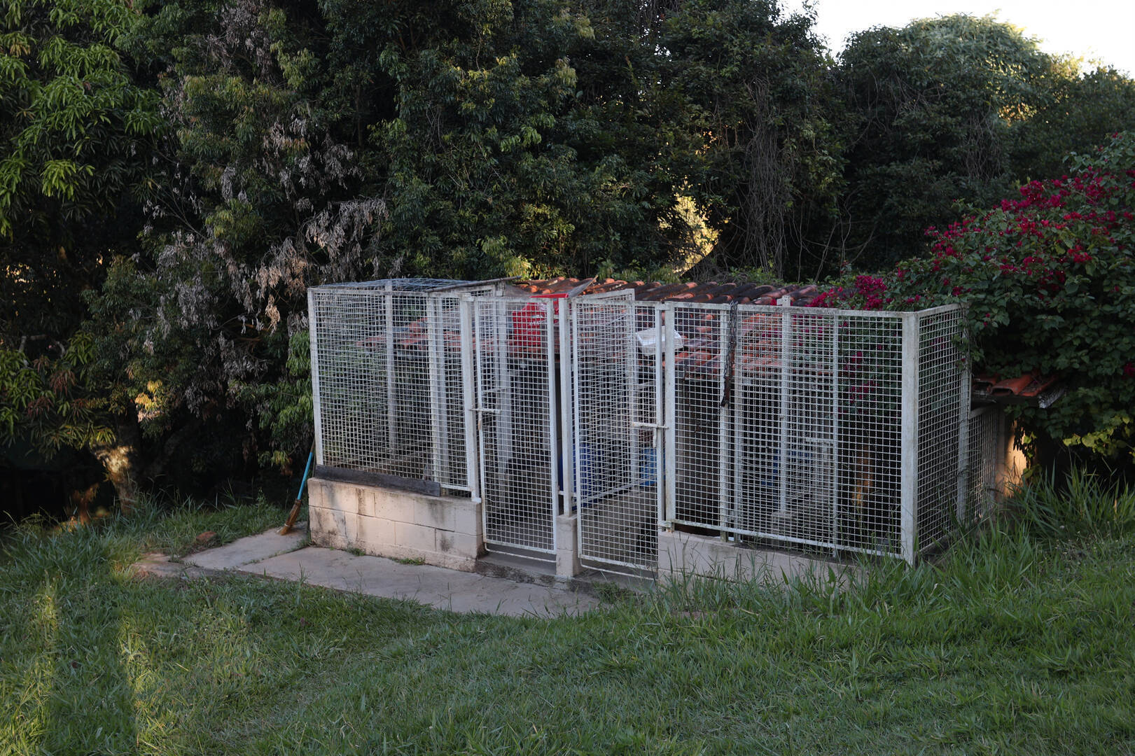 Fazenda à venda com 6 quartos, 23400m² - Foto 10