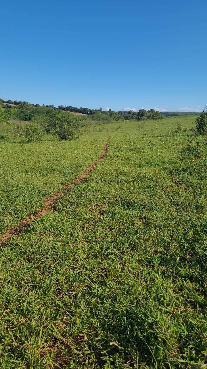 Terreno à venda, 20000m² - Foto 2