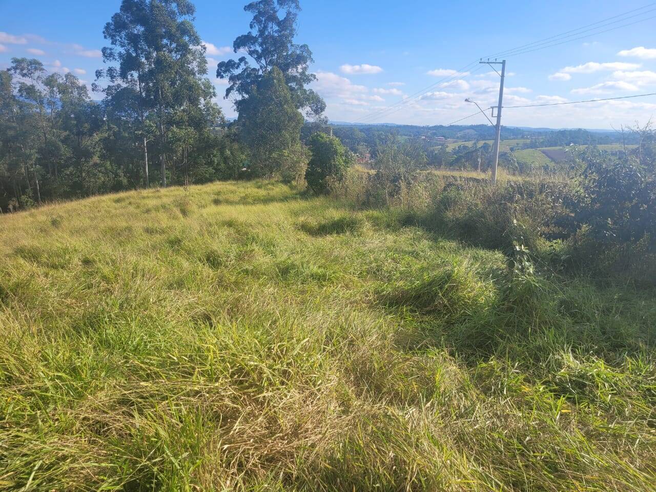 Terreno à venda, 20000m² - Foto 6