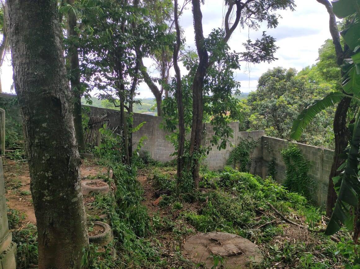 Fazenda à venda com 6 quartos, 371m² - Foto 42