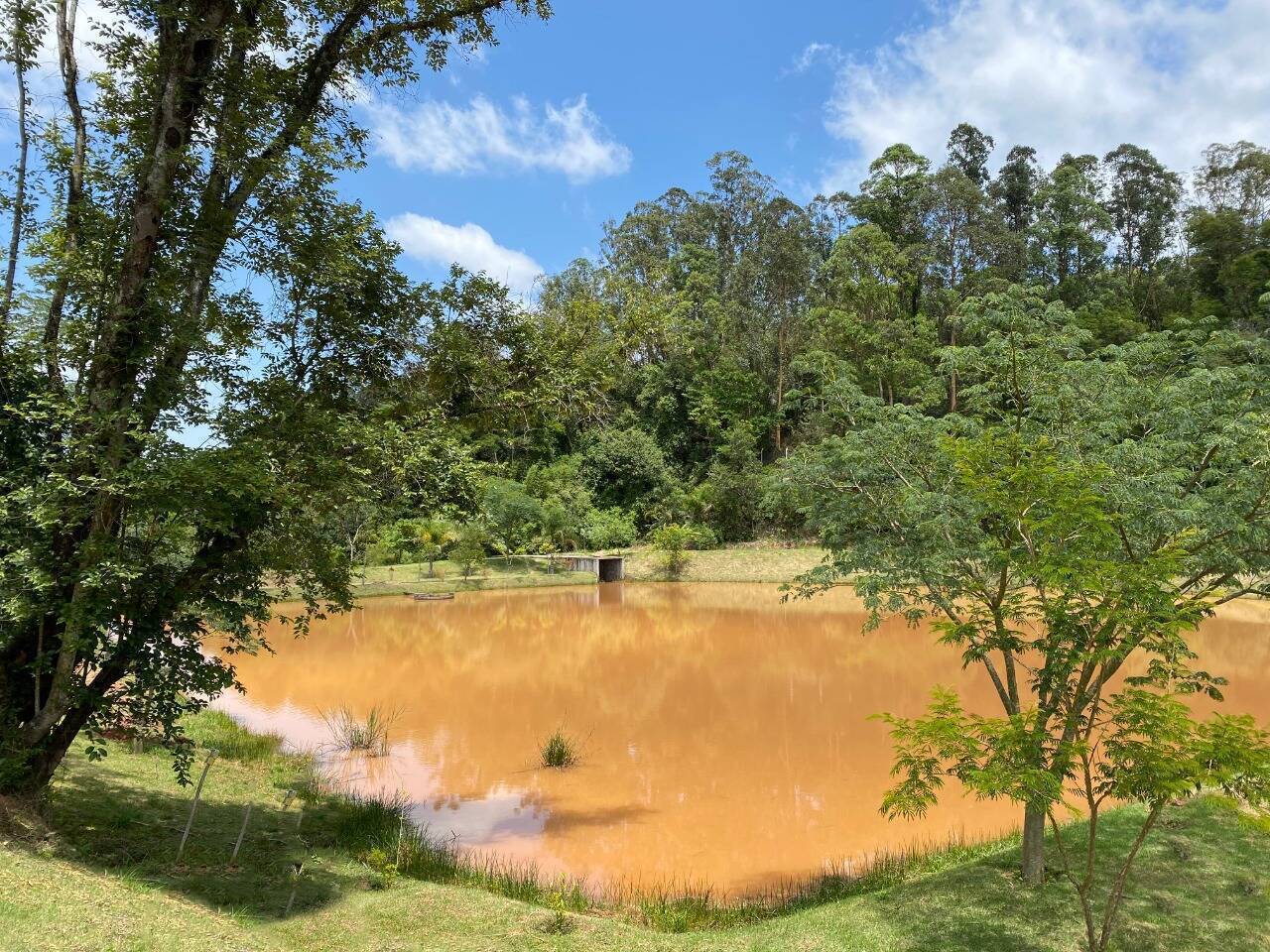 Terreno à venda, 1278m² - Foto 6