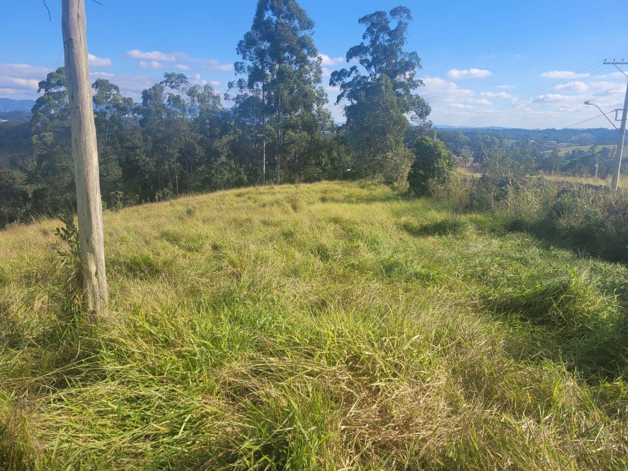 Terreno à venda, 64000m² - Foto 5