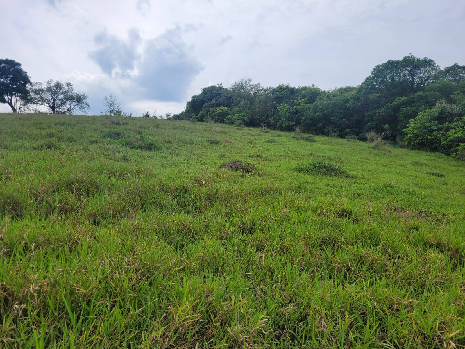 Terreno à venda, 64000m² - Foto 8