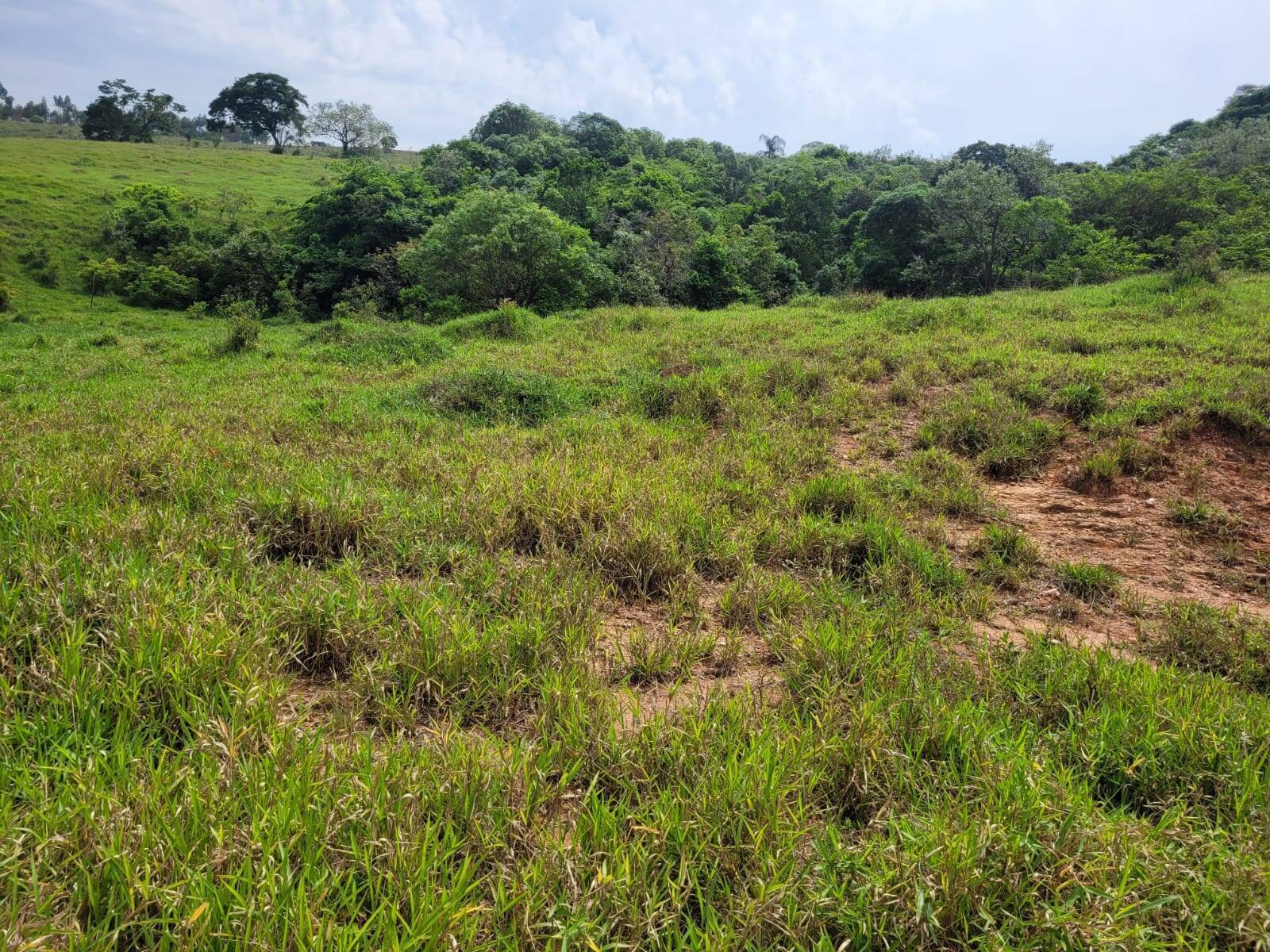 Terreno à venda, 64000m² - Foto 10