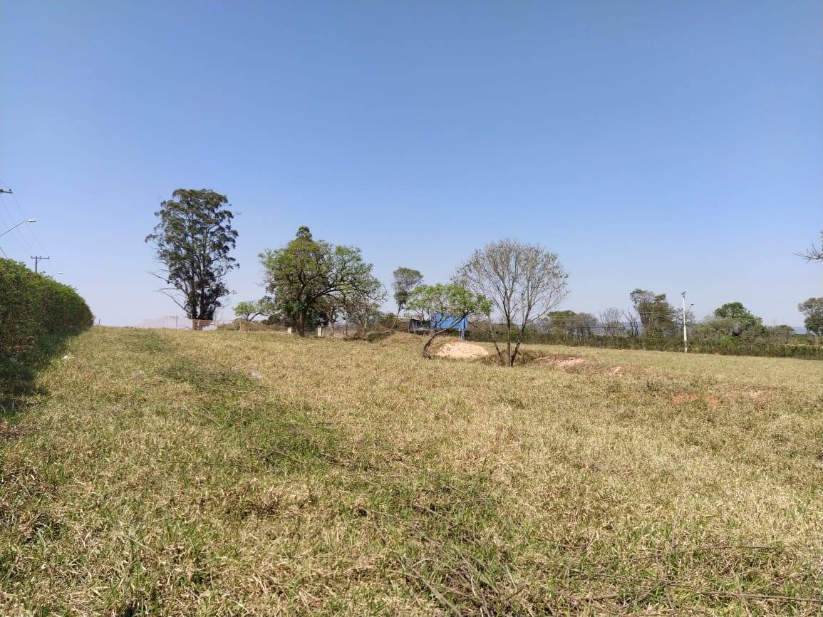 Terreno para alugar, 5000m² - Foto 3