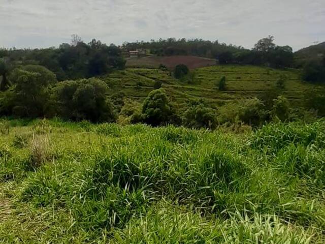 Venda em Monte Alegre - Vinhedo