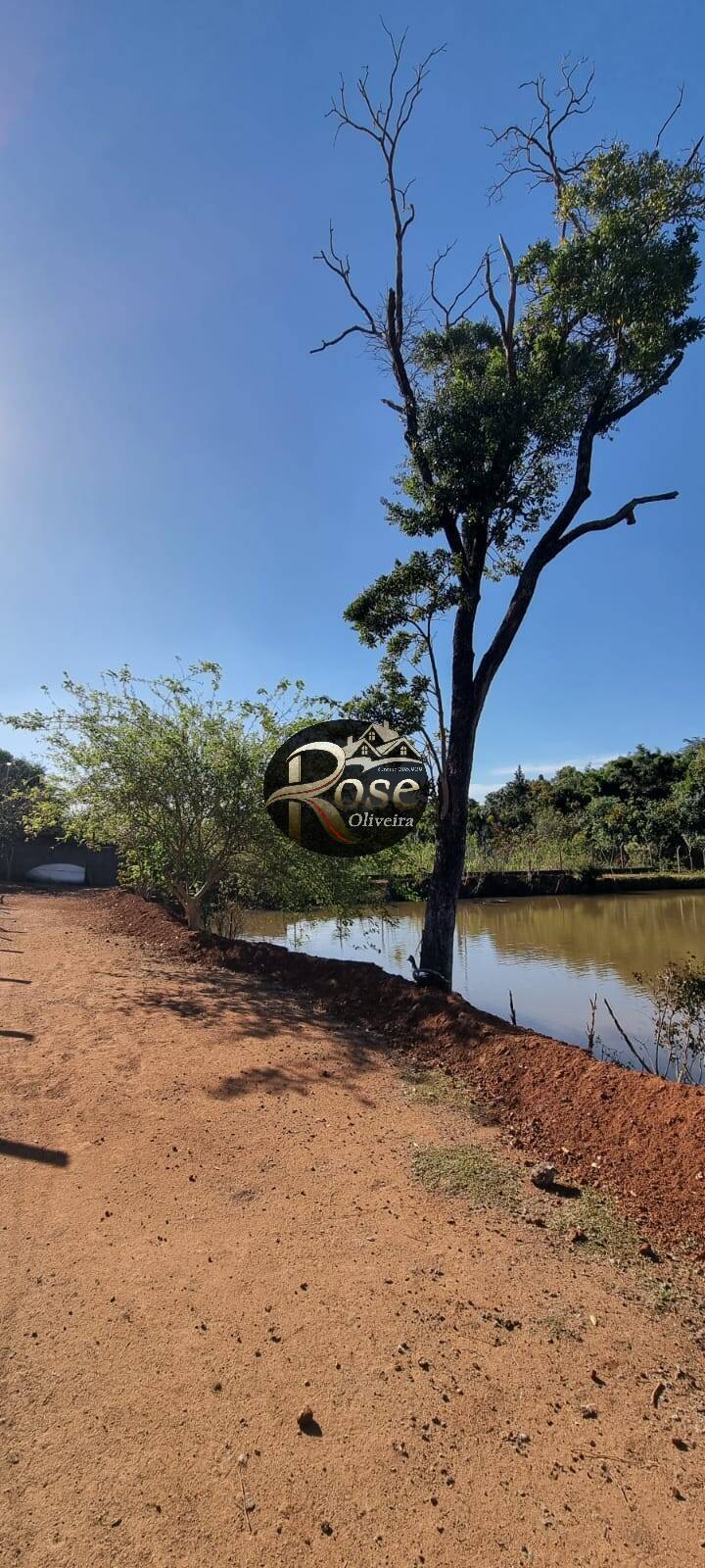 Fazenda à venda com 2 quartos, 19000m² - Foto 19