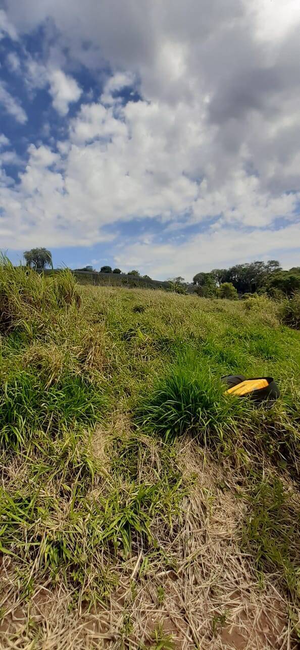 Terreno, 2 hectares - Foto 4